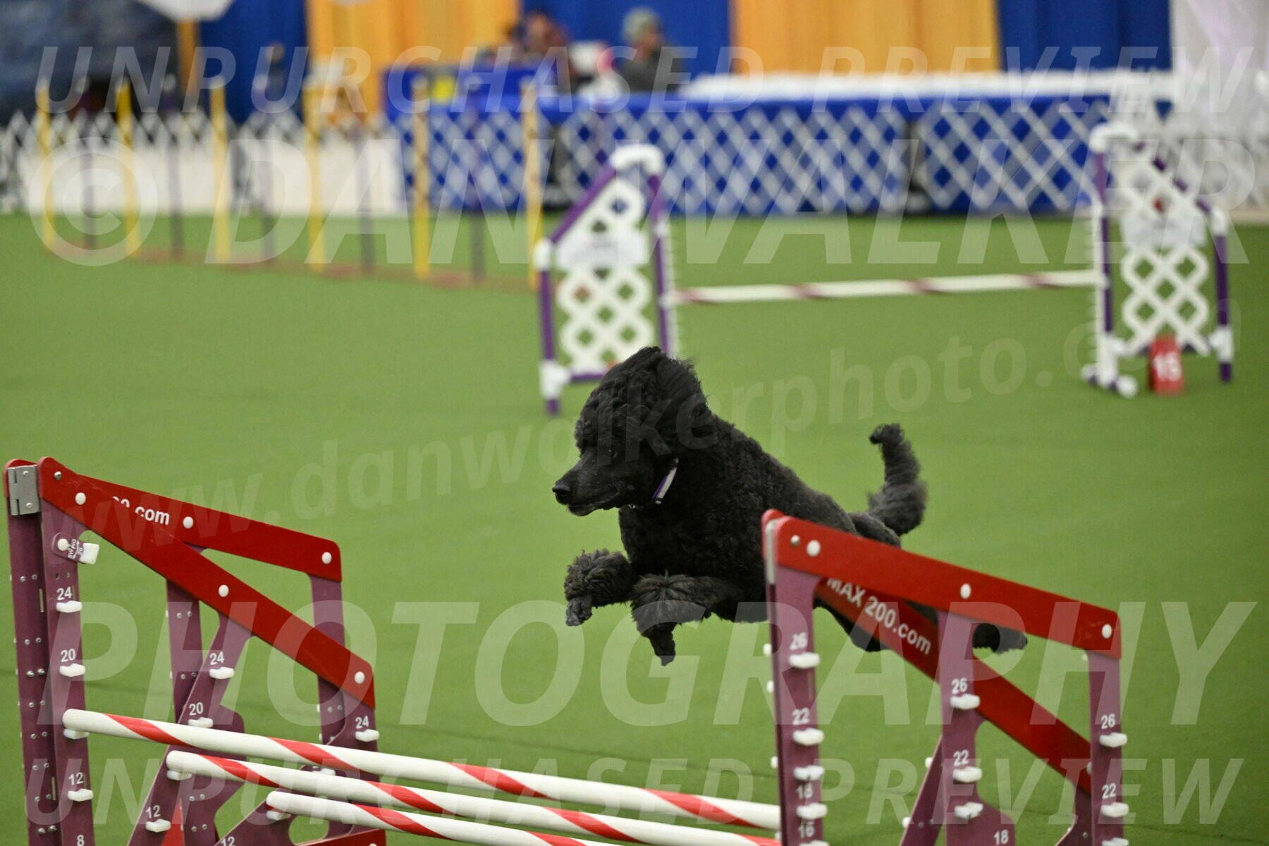 MAS-EX-JWW-16-Inch_2386