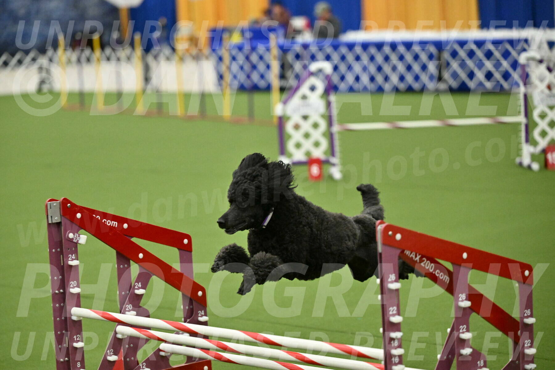 MAS-EX-JWW-16-Inch_2387