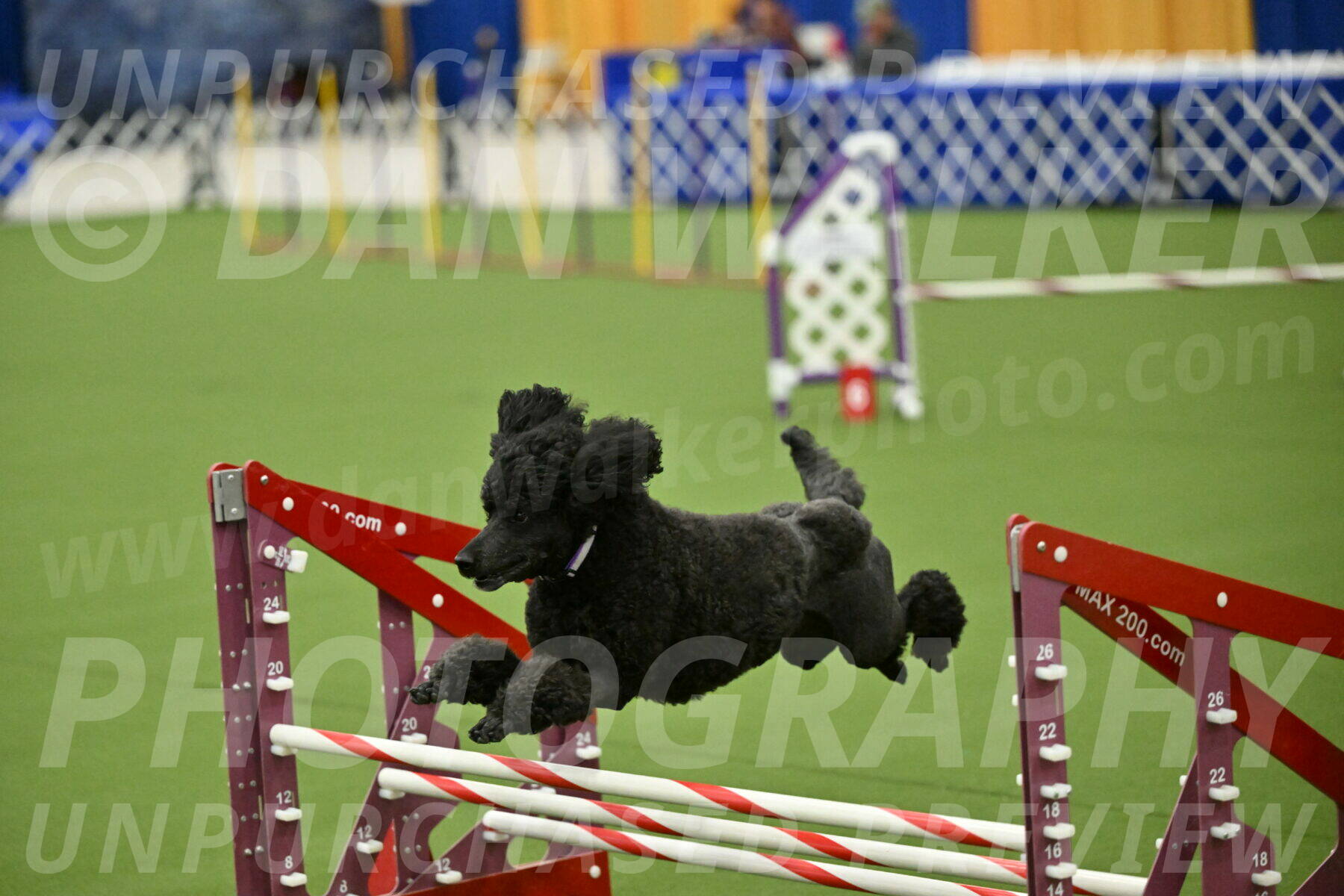 MAS-EX-JWW-16-Inch_2388