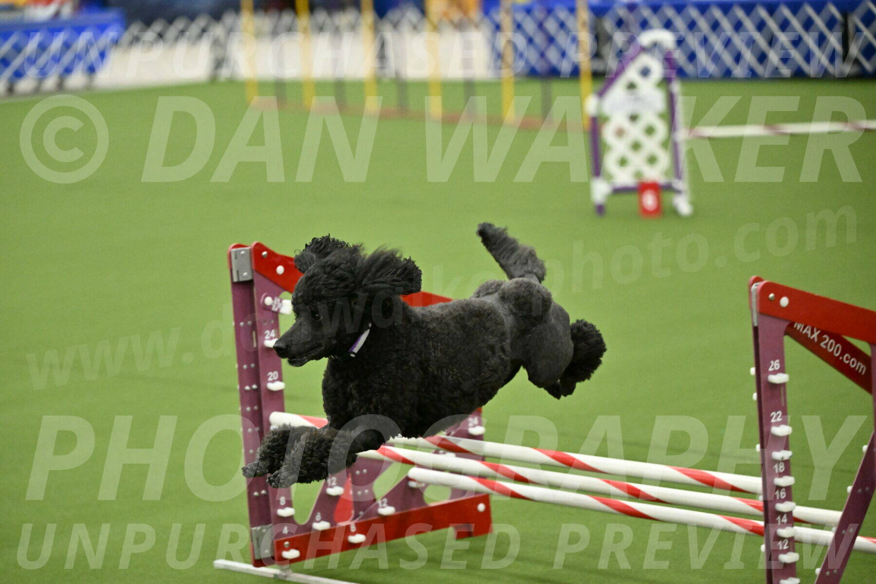 MAS-EX-JWW-16-Inch_2389