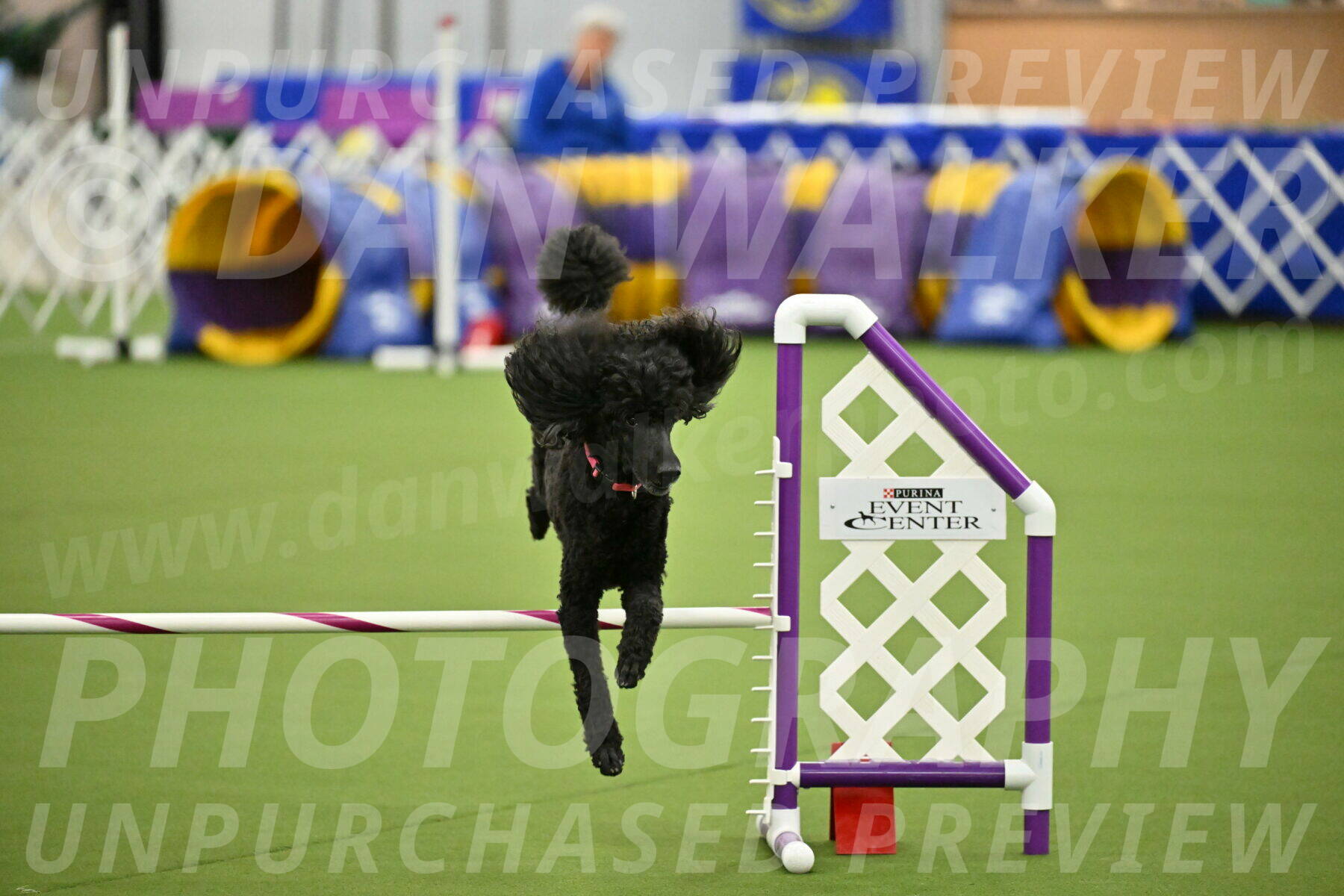 MAS-EX-JWW-16-Inch_2417