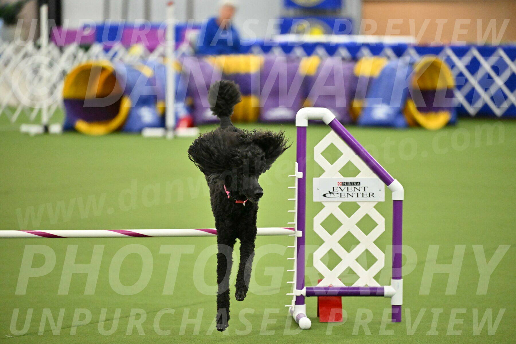 MAS-EX-JWW-16-Inch_2418