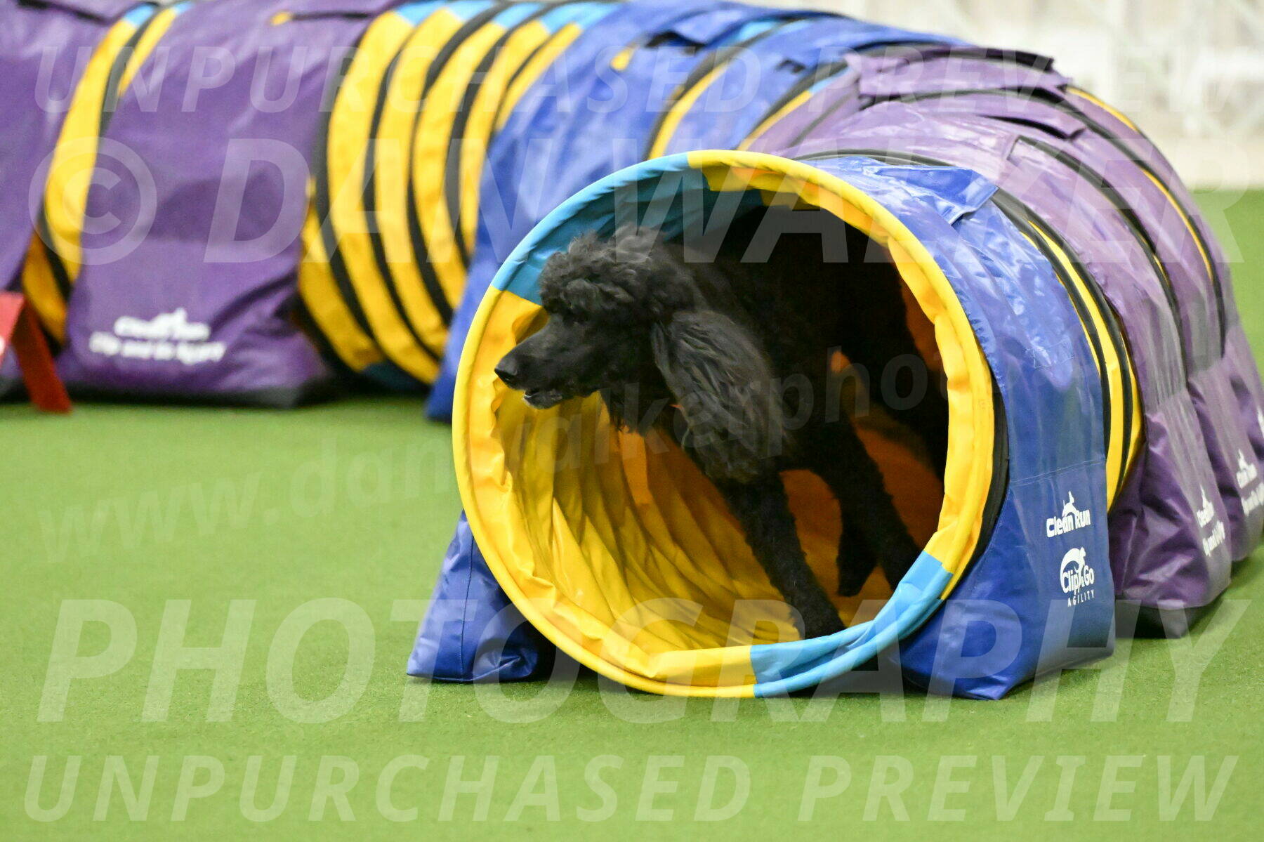 MAS-EX-JWW-16-Inch_2429