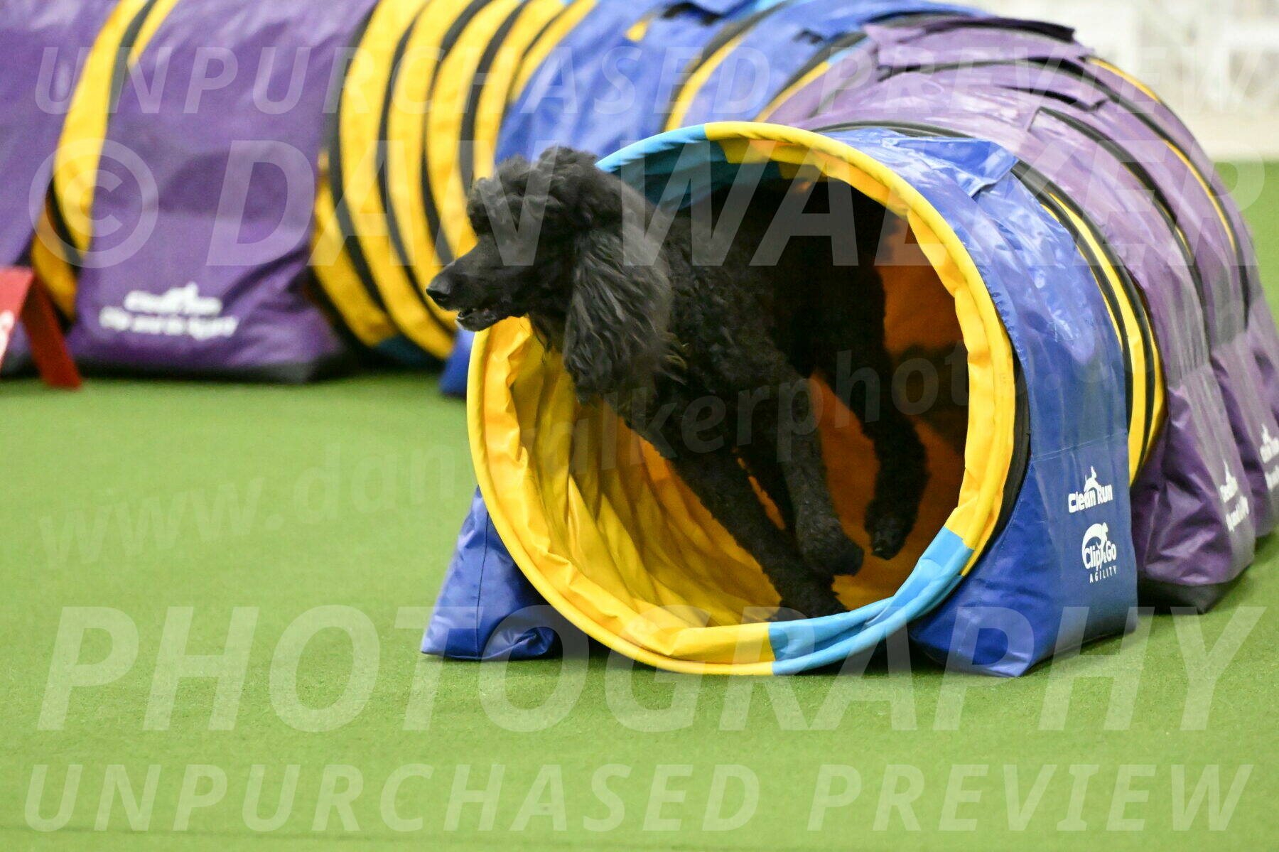 MAS-EX-JWW-16-Inch_2430