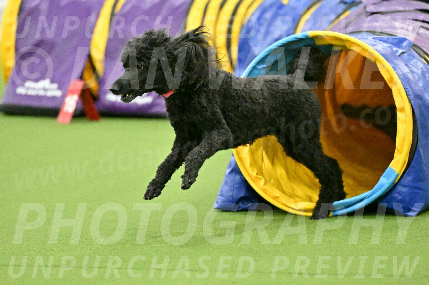 MAS-EX-JWW-16-Inch_2432