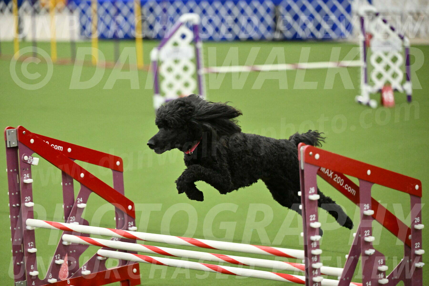 MAS-EX-JWW-16-Inch_2438