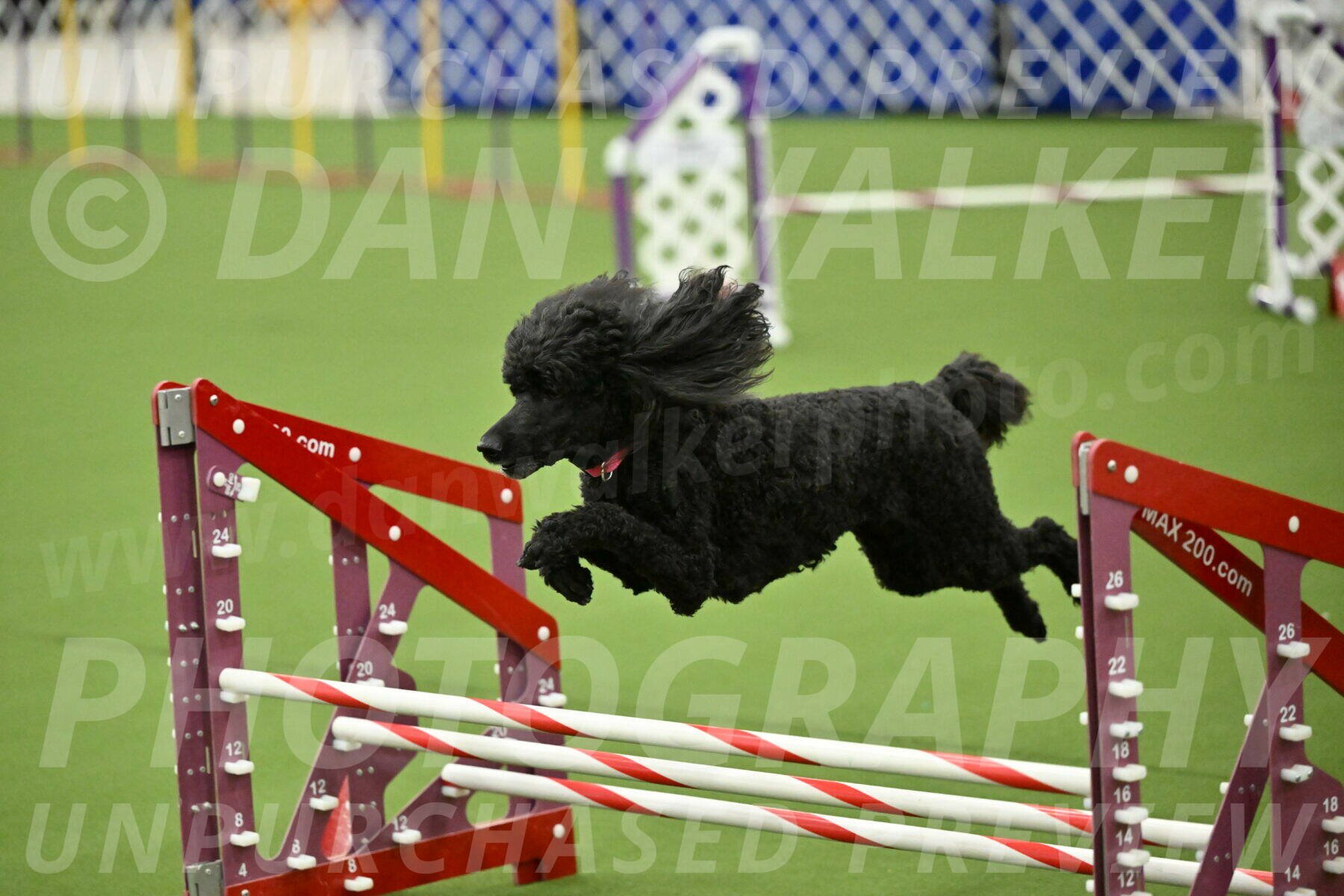 MAS-EX-JWW-16-Inch_2439