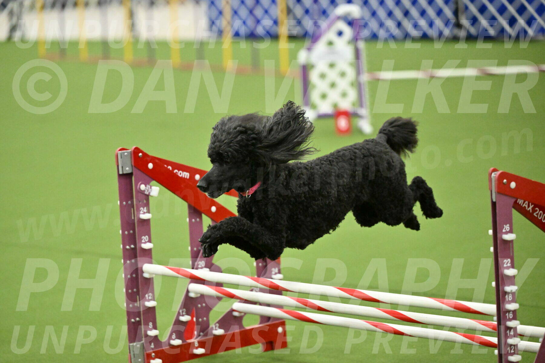 MAS-EX-JWW-16-Inch_2440