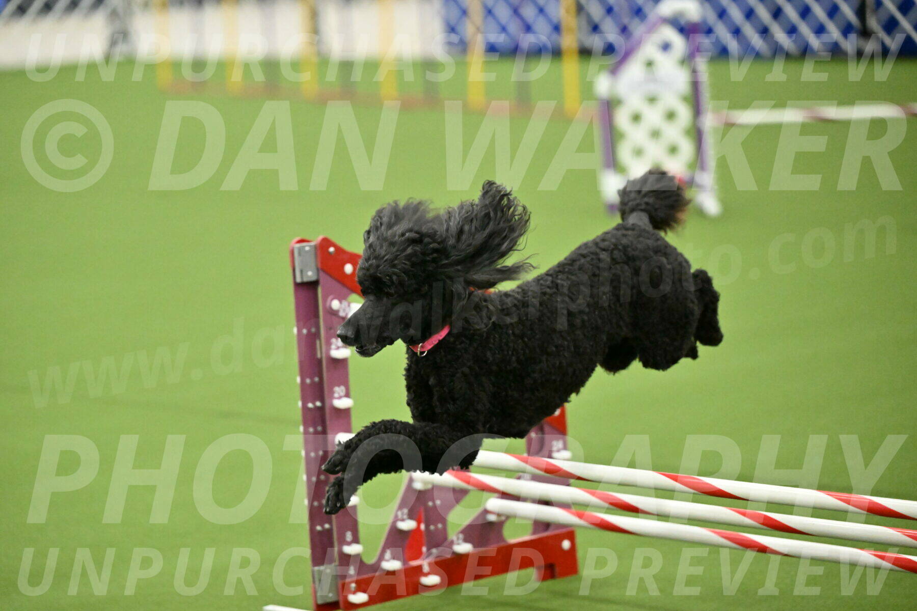 MAS-EX-JWW-16-Inch_2441