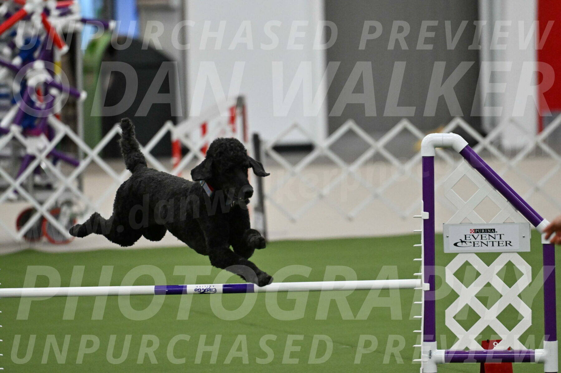 MAS-EX-JWW-16-Inch_2448