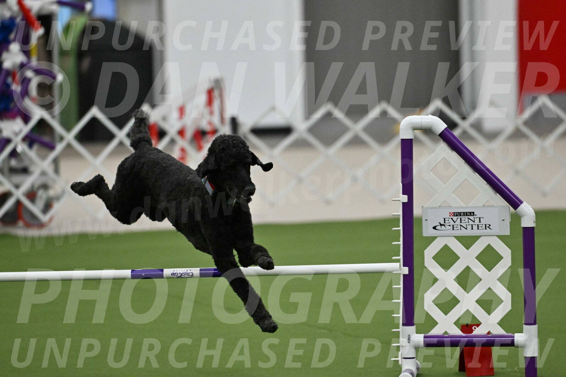 MAS-EX-JWW-16-Inch_2449