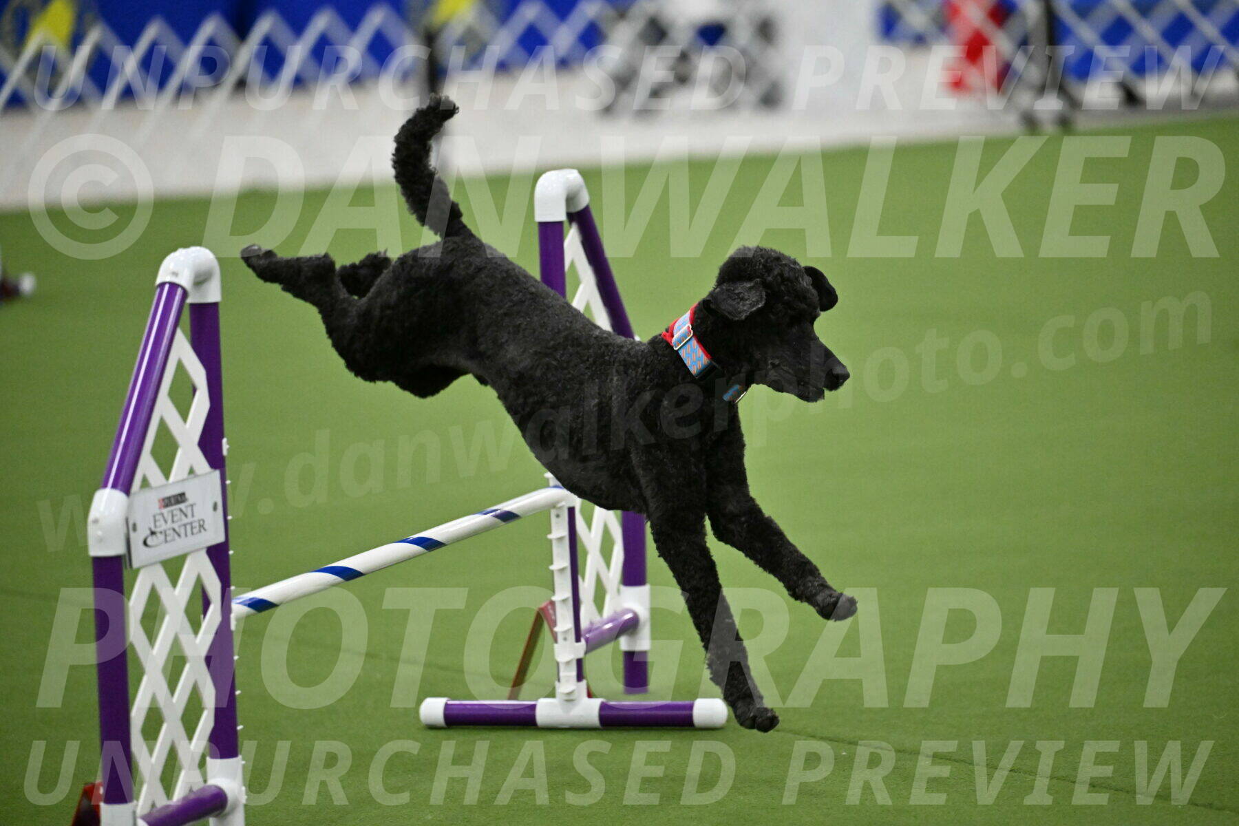 MAS-EX-JWW-16-Inch_2454