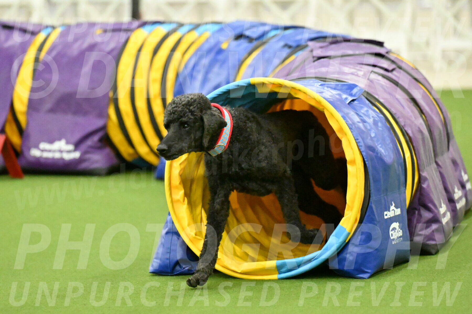 MAS-EX-JWW-16-Inch_2479