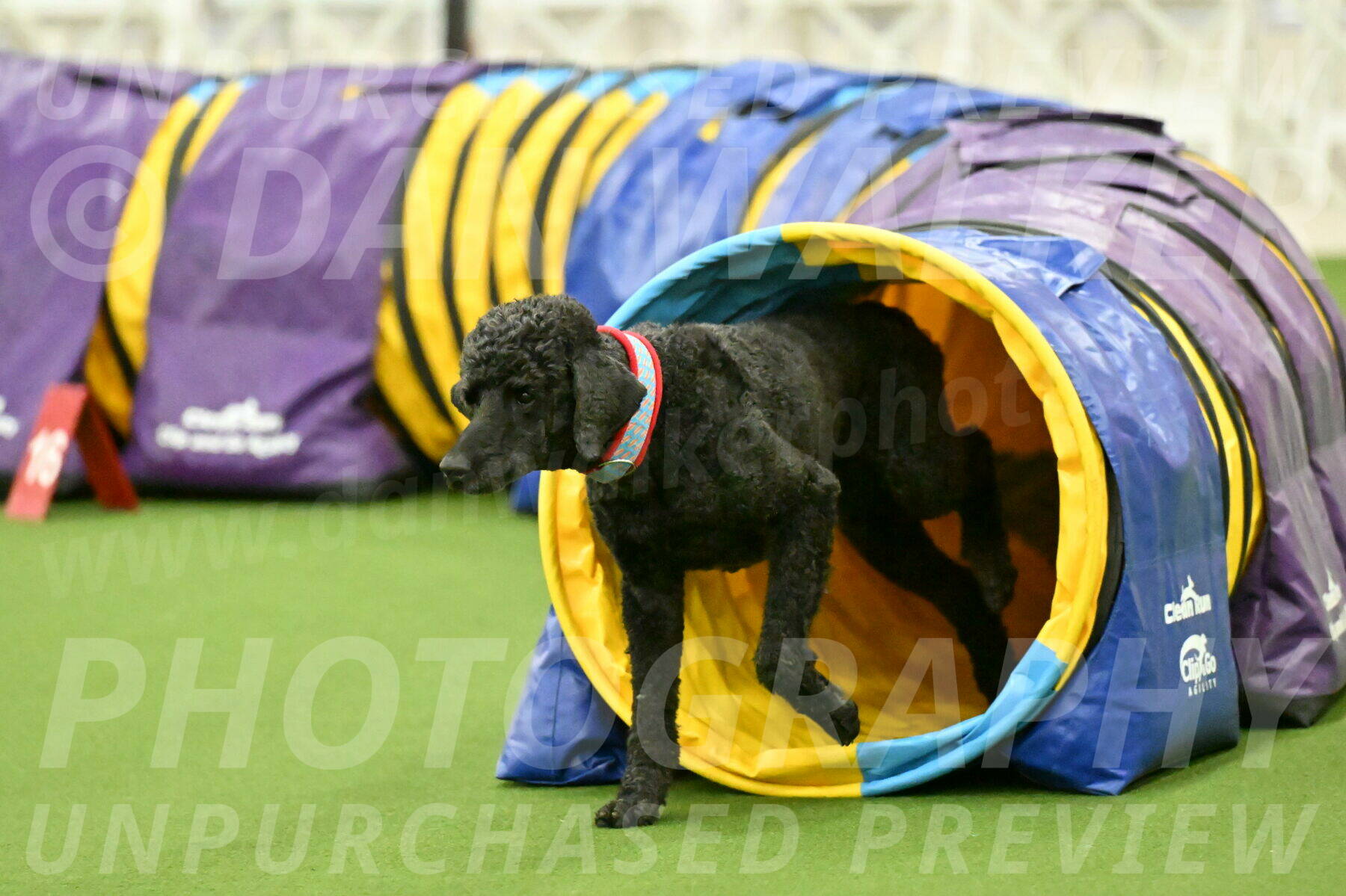 MAS-EX-JWW-16-Inch_2480