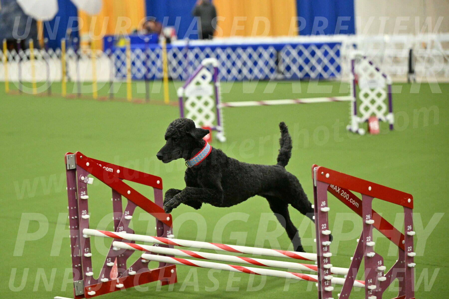 MAS-EX-JWW-16-Inch_2491