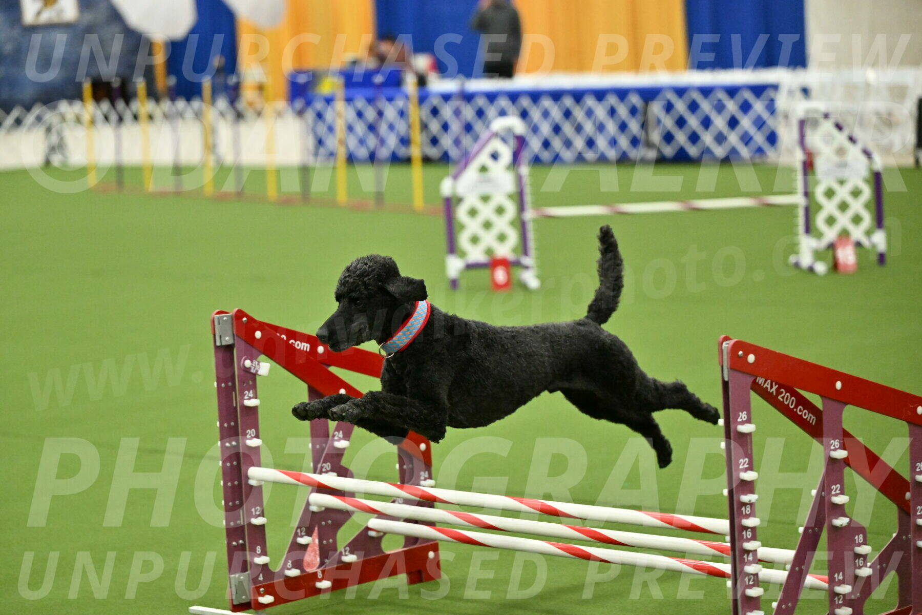 MAS-EX-JWW-16-Inch_2492