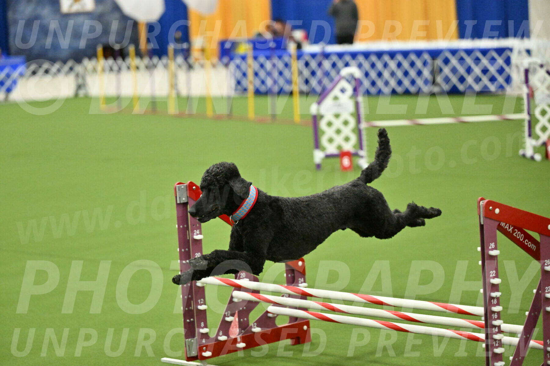 MAS-EX-JWW-16-Inch_2493