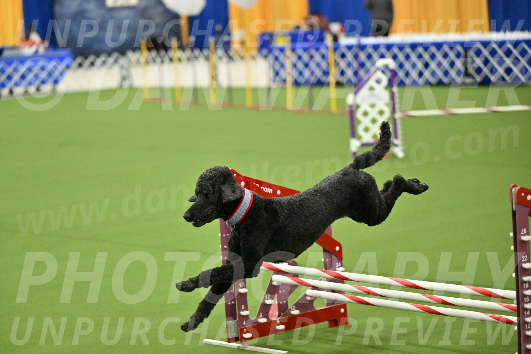 MAS-EX-JWW-16-Inch_2494