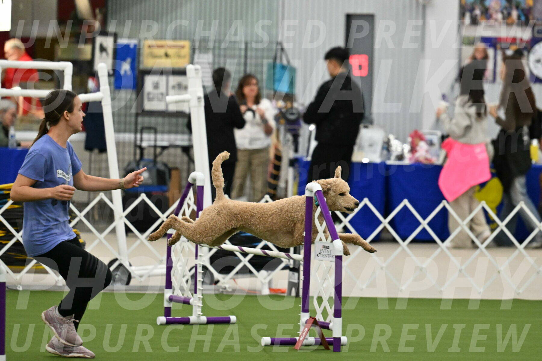 MAS-EX-JWW-20-Inch_2500