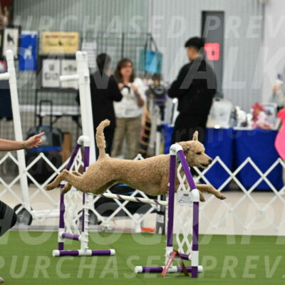 MAS-EX-JWW-20-Inch_2500