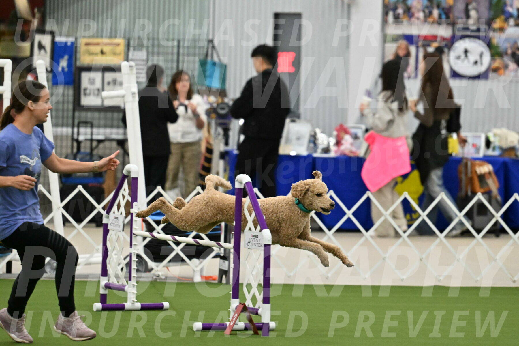 MAS-EX-JWW-20-Inch_2501