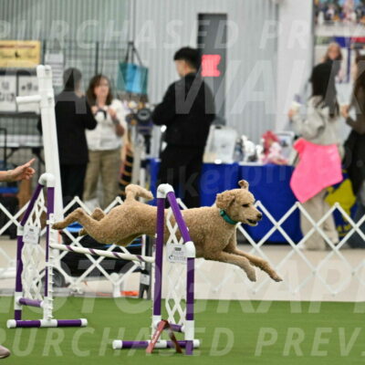 MAS-EX-JWW-20-Inch_2501