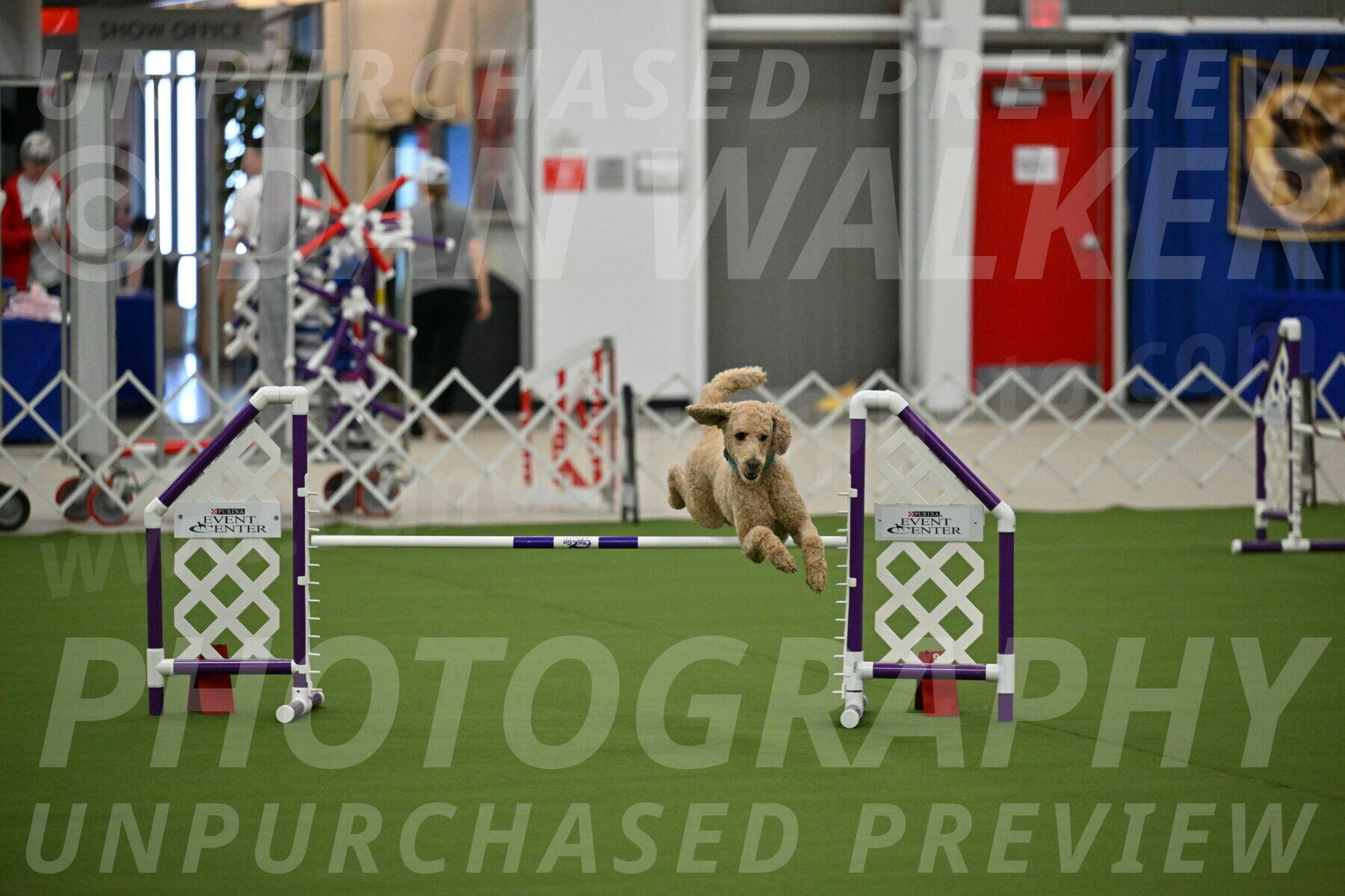 MAS-EX-JWW-20-Inch_2509