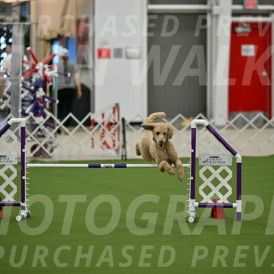 MAS-EX-JWW-20-Inch_2509