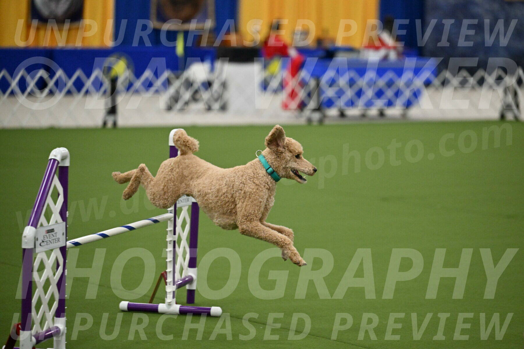 MAS-EX-JWW-20-Inch_2514