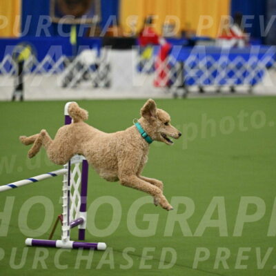 MAS-EX-JWW-20-Inch_2514