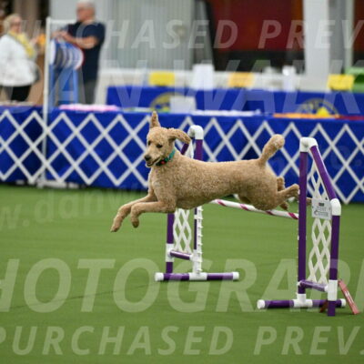 MAS-EX-JWW-20-Inch_2517