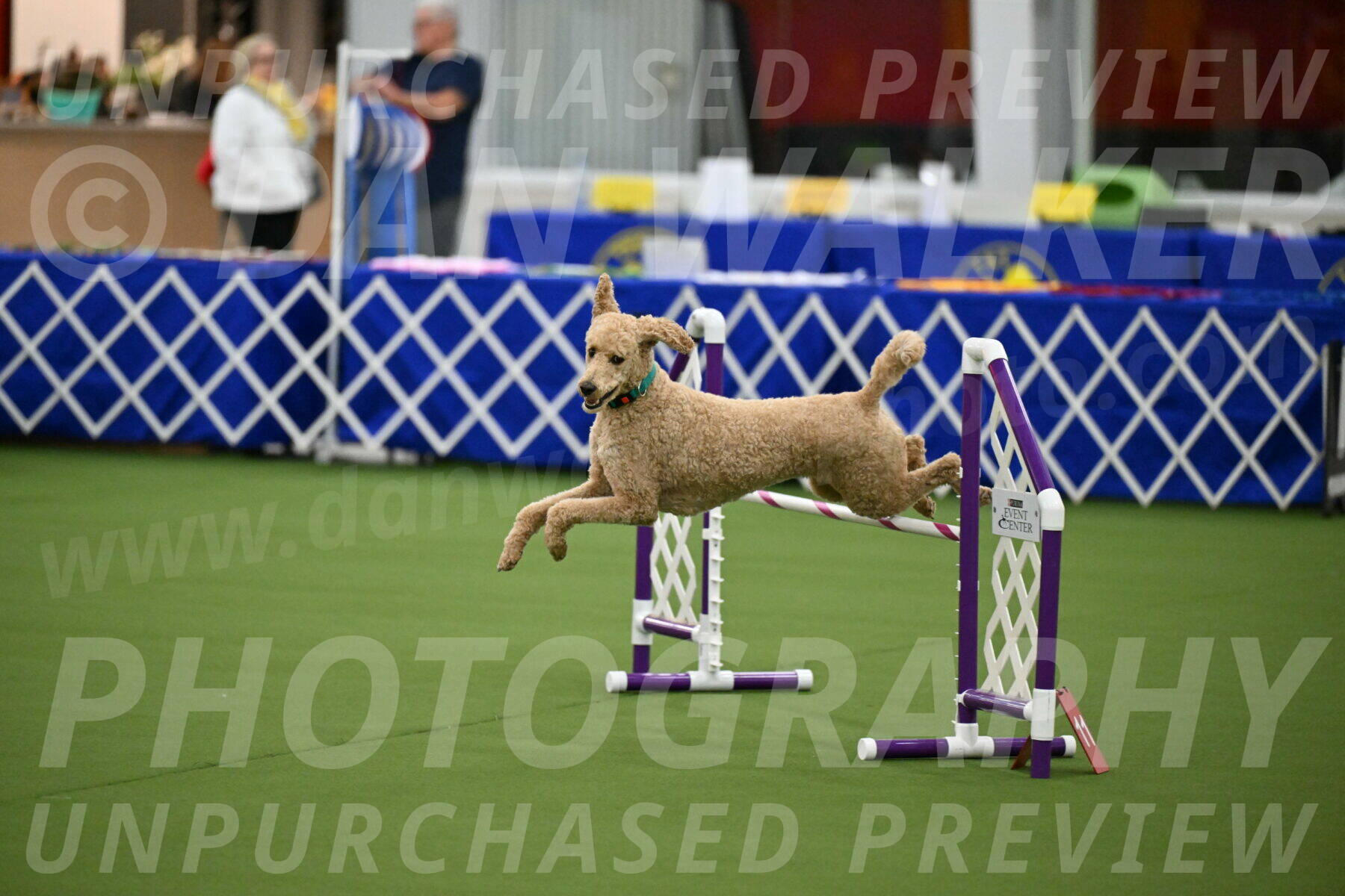 MAS-EX-JWW-20-Inch_2517