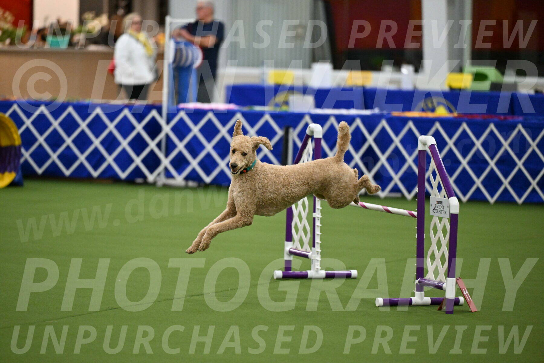 MAS-EX-JWW-20-Inch_2518