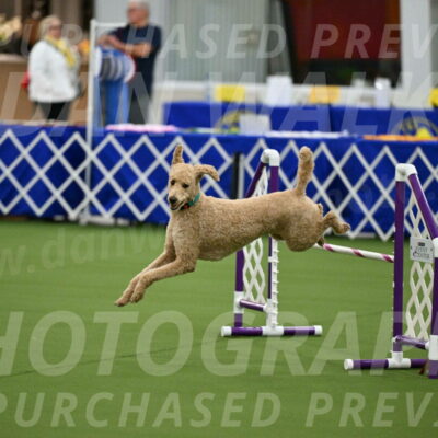 MAS-EX-JWW-20-Inch_2518