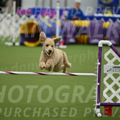 MAS-EX-JWW-20-Inch_2521