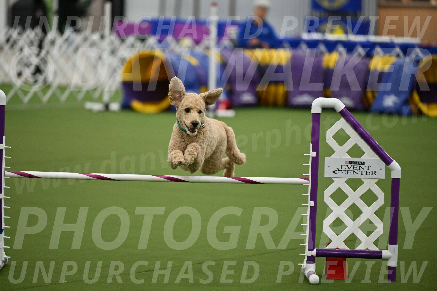 MAS-EX-JWW-20-Inch_2521