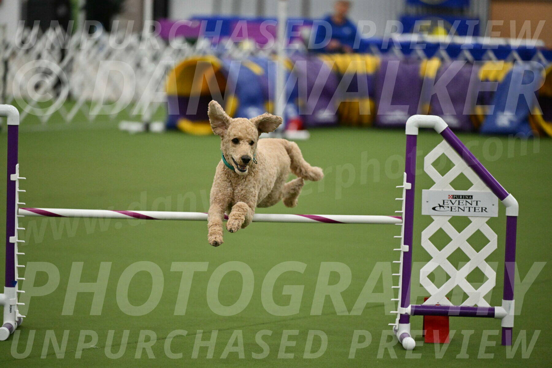 MAS-EX-JWW-20-Inch_2522