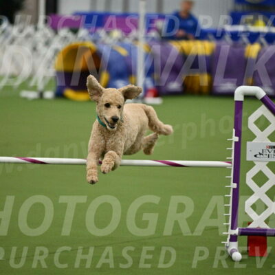 MAS-EX-JWW-20-Inch_2522