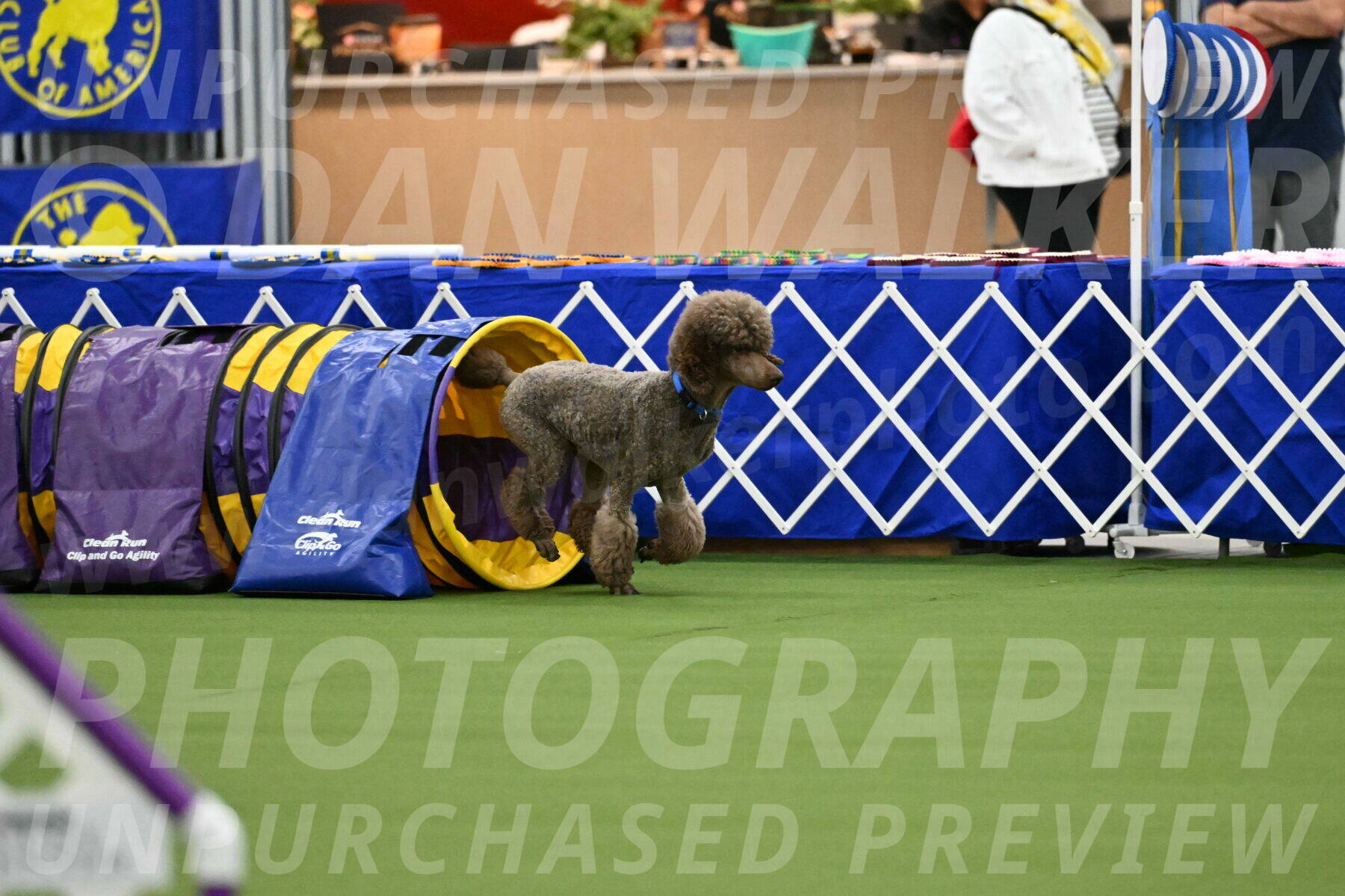 MAS-EX-JWW-20-Inch_2530