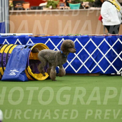 MAS-EX-JWW-20-Inch_2530