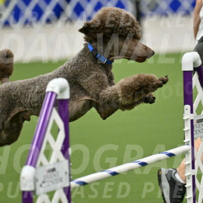 MAS-EX-JWW-20-Inch_2534