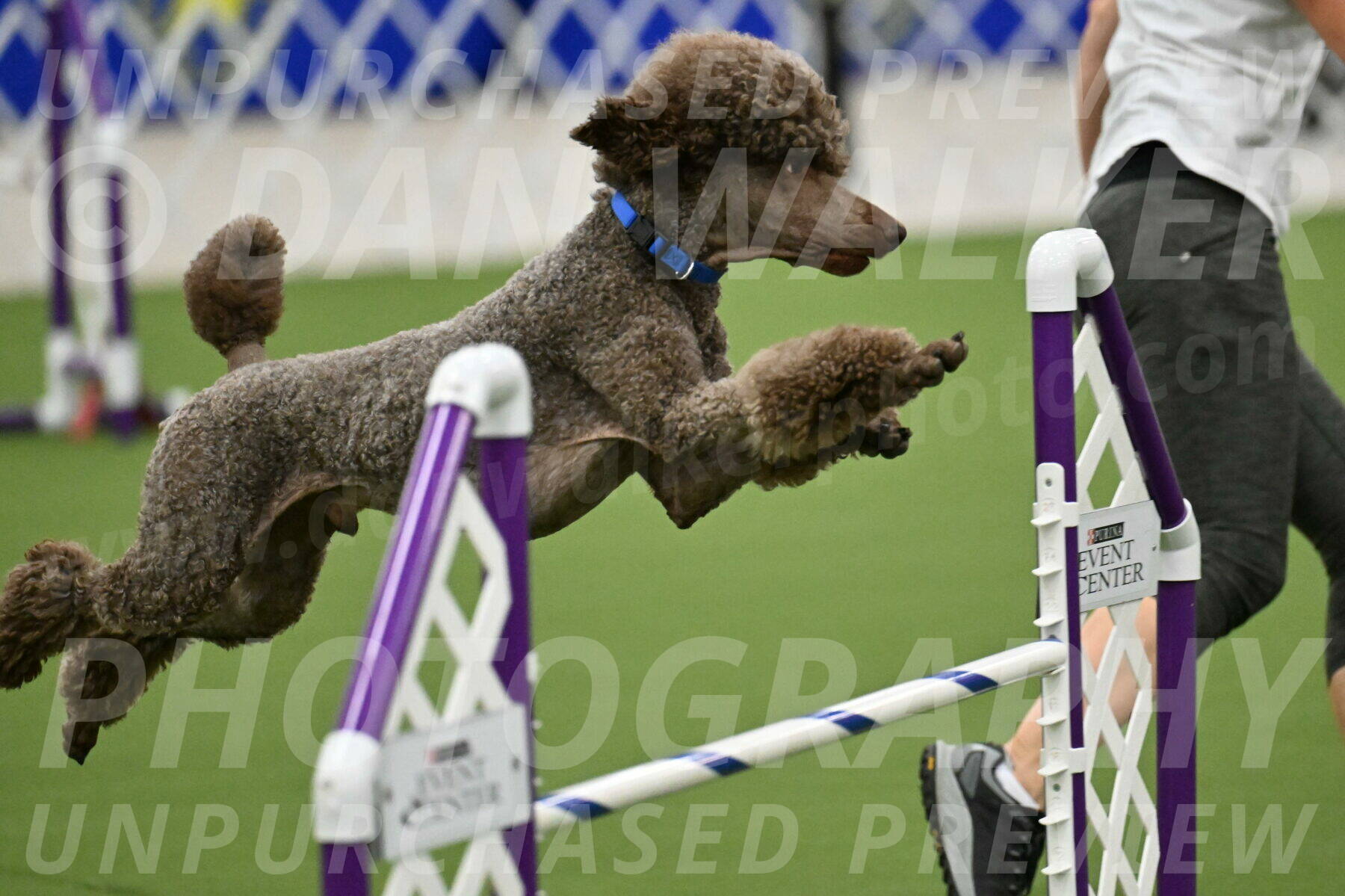 MAS-EX-JWW-20-Inch_2534