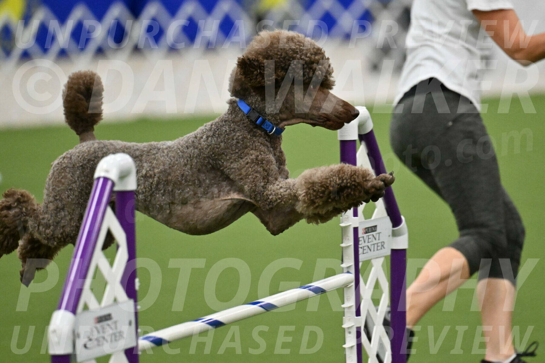 MAS-EX-JWW-20-Inch_2535