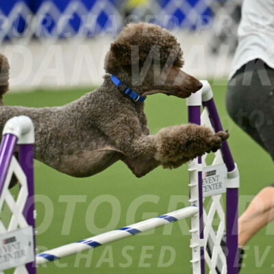 MAS-EX-JWW-20-Inch_2535