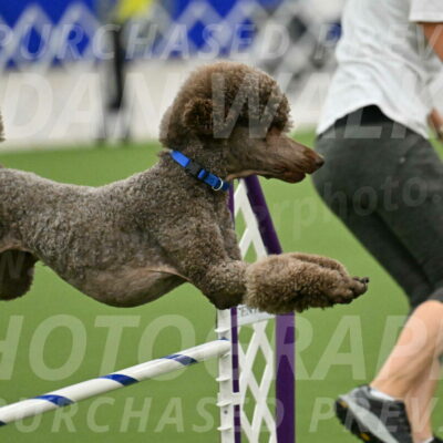 MAS-EX-JWW-20-Inch_2536