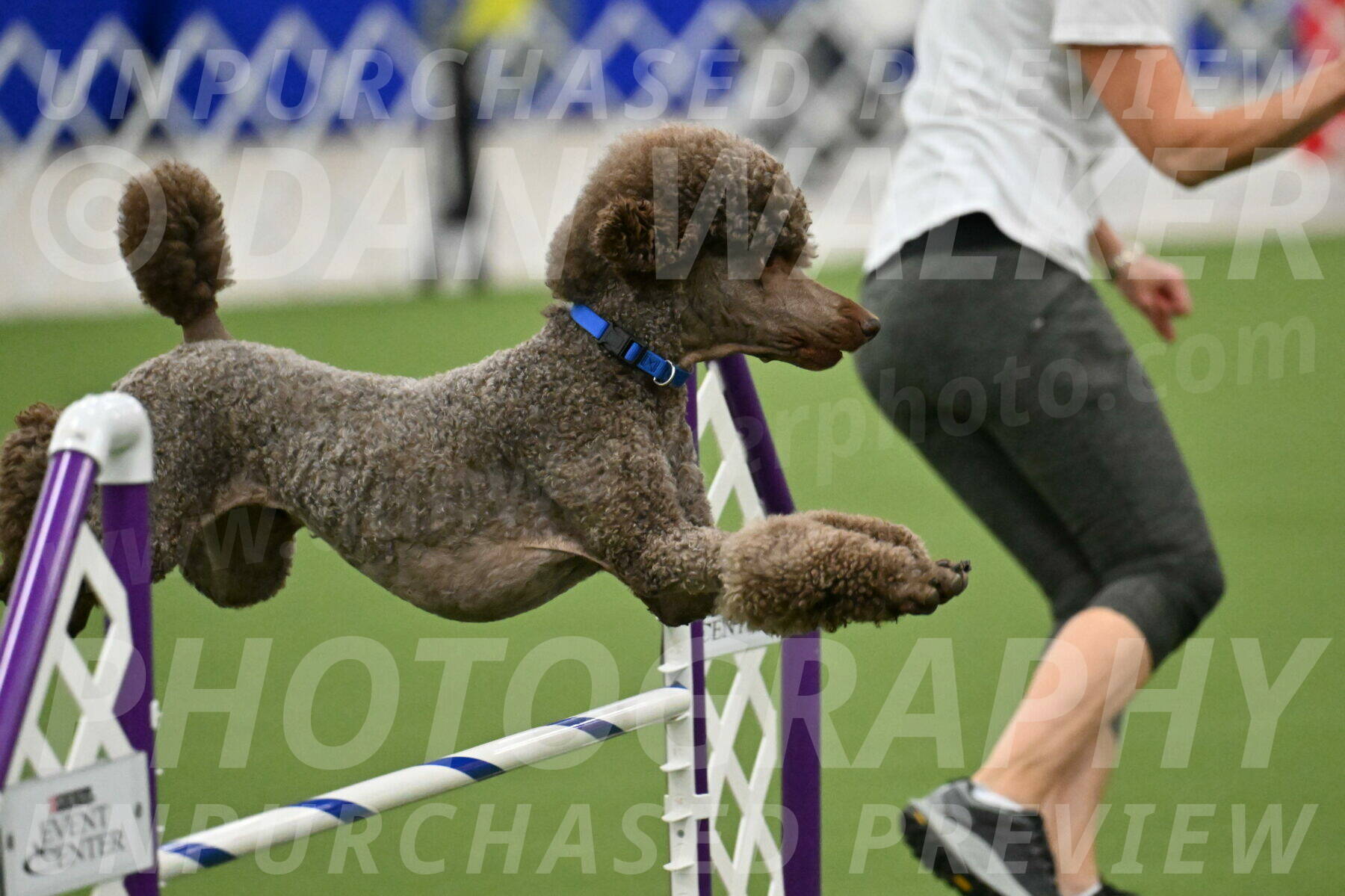 MAS-EX-JWW-20-Inch_2536