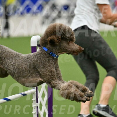 MAS-EX-JWW-20-Inch_2537