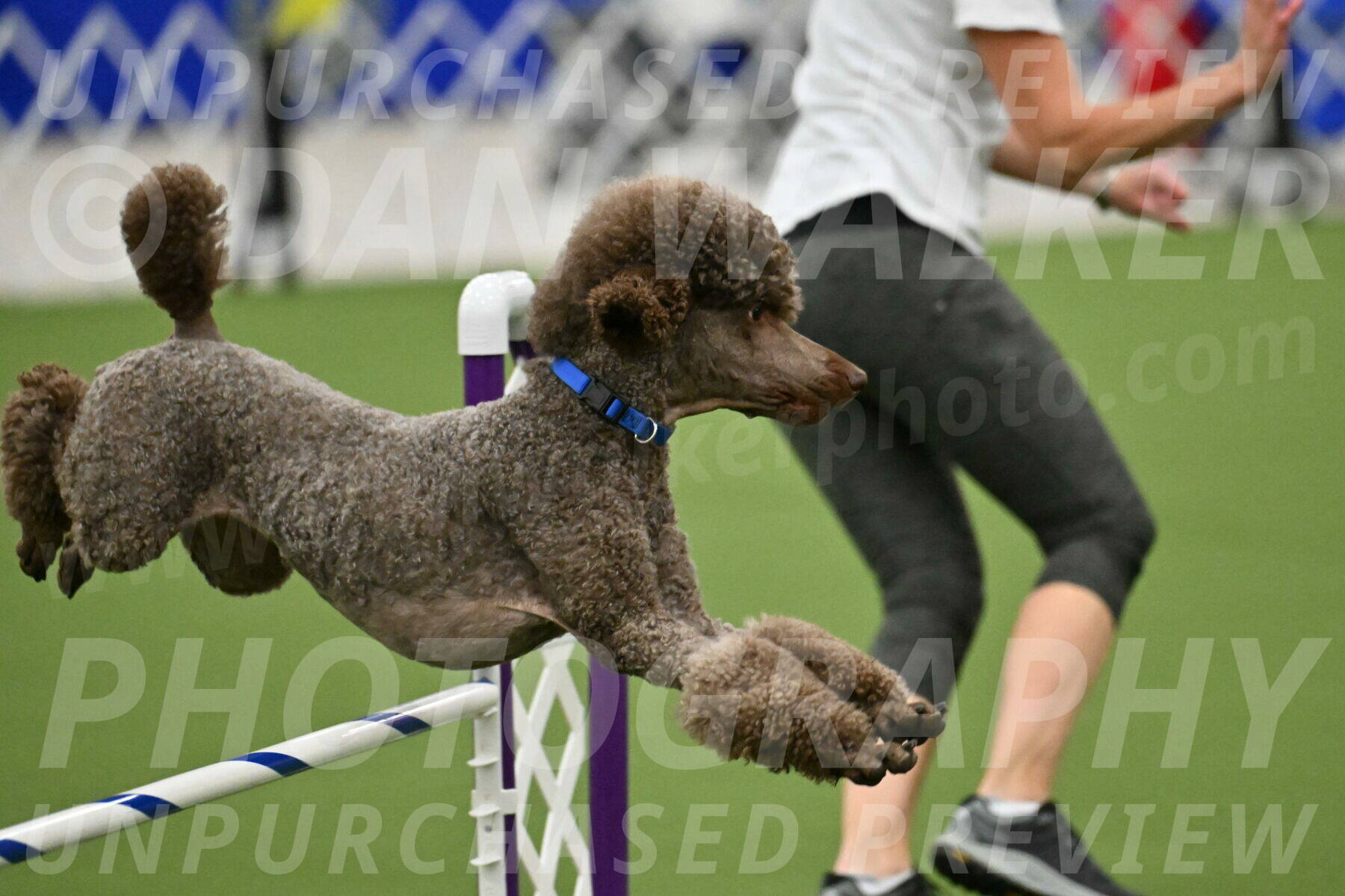 MAS-EX-JWW-20-Inch_2537