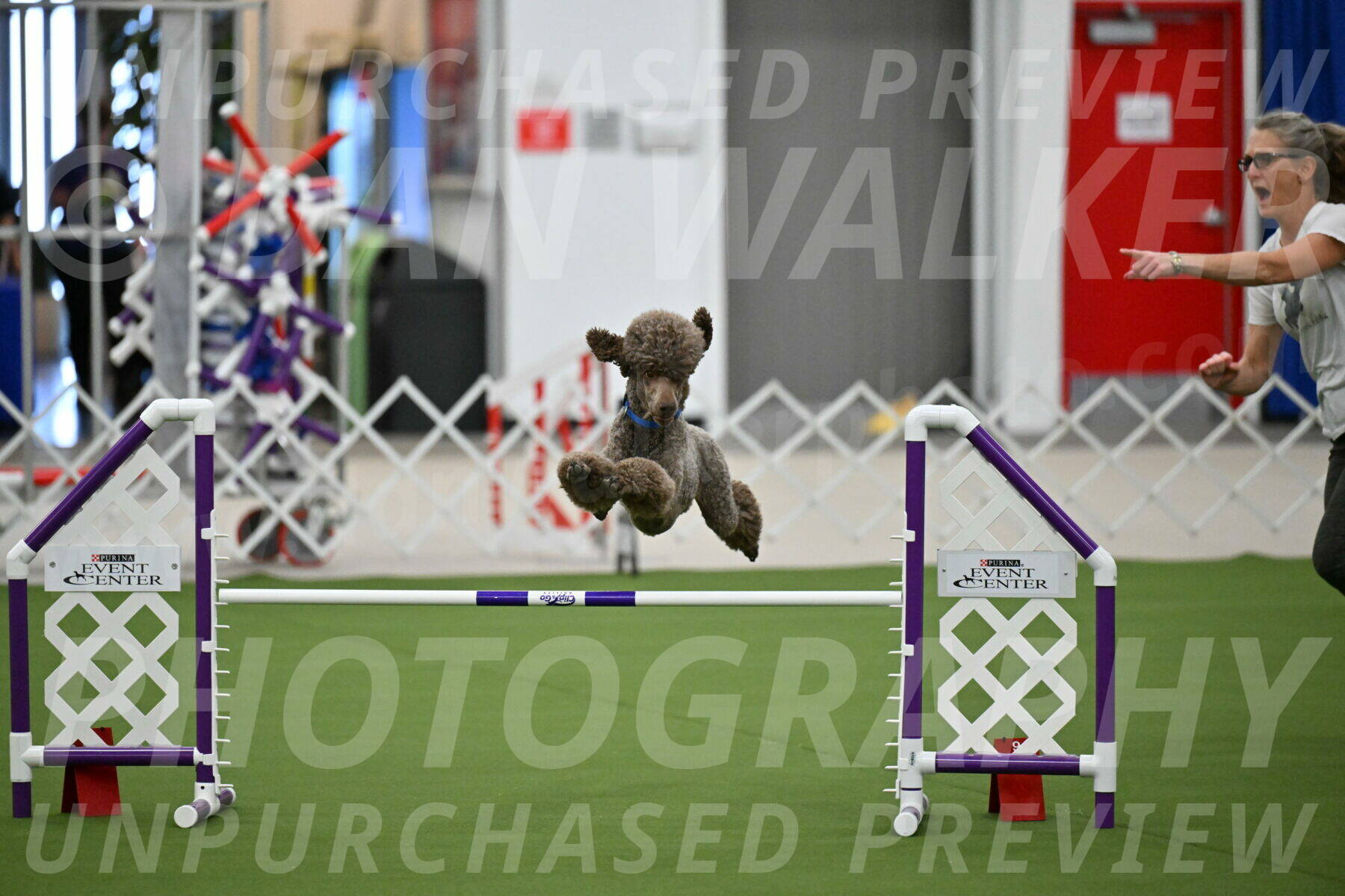 MAS-EX-JWW-20-Inch_2542