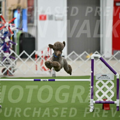 MAS-EX-JWW-20-Inch_2542